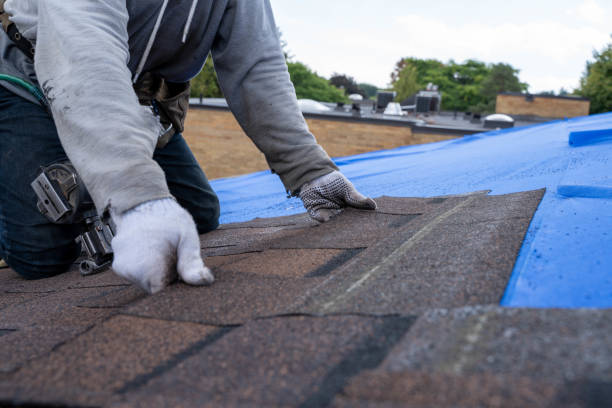 Roof Gutter Cleaning in Pearl Beach, MI