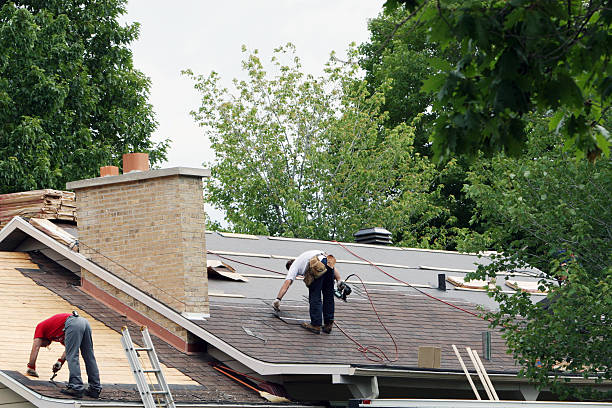 Best Roof Maintenance Services  in Pearl Beach, MI